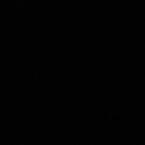 Meet your Posher, Gaga